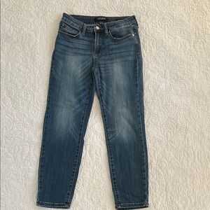 Judy Blue Blue Skinny Jeans